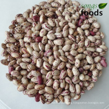 Light Spackled Kidney Beans, Cranberry Beans